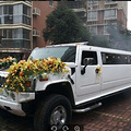 来场拉风的婚礼   婚车婚车看过来~~·_0