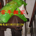 大小货车出租，联系电话18758567185_4