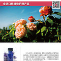 拒绝当胖子，在夏天到来之前我要瘦7公斤！_5