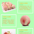正宗阳山水蜜桃，三十年老桃农自种，绿色有机奥运果品