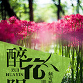 【完结】《醉花阴》民国 /婚恋 /替嫁 /少帅/ 腹黑 / 霸道 /宠文_1
