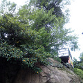 杭州山沟沟紫荆山庄_0
