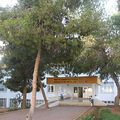 кѧ--Eastern Mediterranean University_2