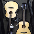 ��������®������ȫ��Lee Guitars������_5