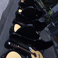 ��������®������ȫ��Lee Guitars������_2