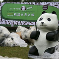 9月17日杭州西湖天地有一大波熊猫来袭!_0