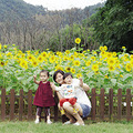 【抢楼】金秋时节，与大香林来一场桂花香约_3
