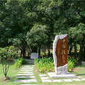 【抢楼】金秋时节，与大香林来一场桂花香约_1