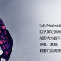低价现货 WESTWICK男士复古印花图案长袖V领针织衫 不要错过！！_0