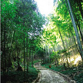 径山好去处_3
