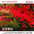 金秋推荐！国内十大绝美红叶观赏地_1