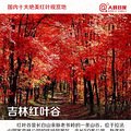 金秋推荐！国内十大绝美红叶观赏地_5