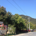 山里走走  挺好_1