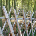 山里走走  挺好_4