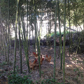 山里走走  挺好_5