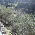 淳安大墅镇老岭风景区_1