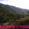淳安大墅镇老岭风景区_3