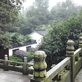 周末   满陇桂雨～杨梅岭～理安寺～九_2
