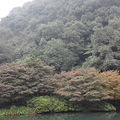 周末   满陇桂雨～杨梅岭～理安寺～九_5