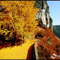 赏花赏月赏秋香，游山游水游美景_1