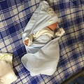 【育女心经】地球我来啦，HH地球报道记_1