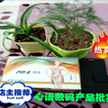 这个宝贝真的好_0