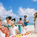 海边婚礼主题策划   浪漫的海洋婚礼