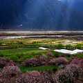 2015年3月20号赏桃花、川青藏大环线！梅里+羊湖+纳木错_3