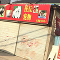 航海路佳佳宠物店