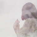 十二星座男心中完美女神标准，看看你中招了吗？(转）
