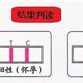 验孕棒怎么用？除了看清说明书，还得用对时间！