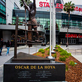 ɼ˶(StaplesCenter)_2