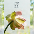 -fresh ˯ϵ_2