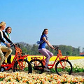 3月这个地方花开成海！一起骑车看花海去，约吗？_1