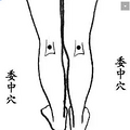 身体湿气重？多拍拍这些部位去湿气吧！_3