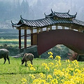 大杭州周边这7个小县城的春天，已美呆！_5