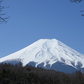 春天到北海道去看雪_0