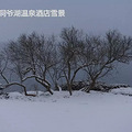 春天到北海道去看雪_2