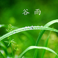 谷雨“三俗”：品香茗、食香椿、赏牡丹 