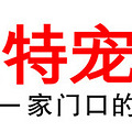 临平宠物医院，派特宠物医院，您身边的宠物专家_0