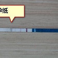 验孕试纸怎么用？图文教你一看就会！_3