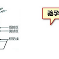 验孕试纸怎么用？图文教你一看就会！_5