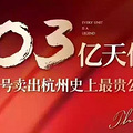 1.03亿天价！武林壹号卖出杭州史上最贵公寓！_1