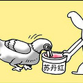 十年食品安全大回顾_2