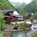 养生度假      旅游去哪儿     桐庐天子地_3