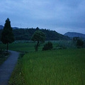 朋友们，新叶古村好玩嘛_2