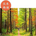 杭州人少树多的地方 盘点杭城附近清净景美好去处_3