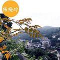 杭州人少树多的地方 盘点杭城附近清净景美好去处_1