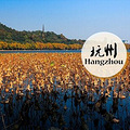 杭州人少树多的地方 盘点杭城附近清净景美好去处_0