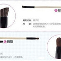 转：各类化妆刷你都知道是怎么用的吗？非常实用的化妆刷扫盲贴_1